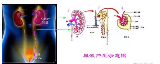 C:\Users\user\Desktop\微信图片_20190510084318.png