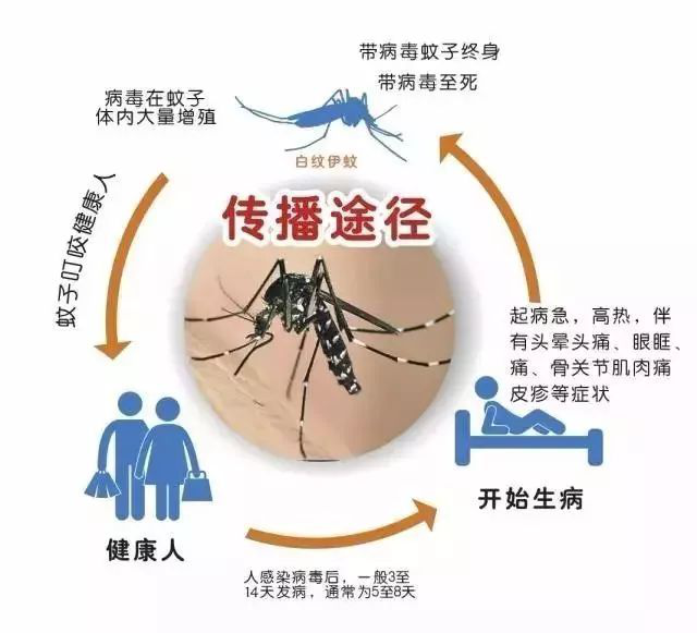 C:\Users\user\Desktop\图片1.png