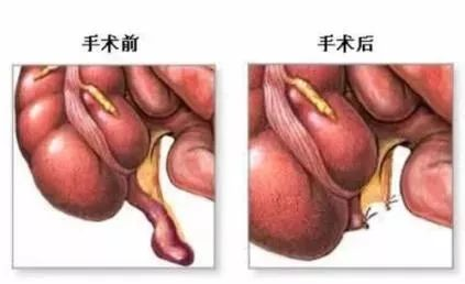 C:\Users\user\Desktop\图片1.png