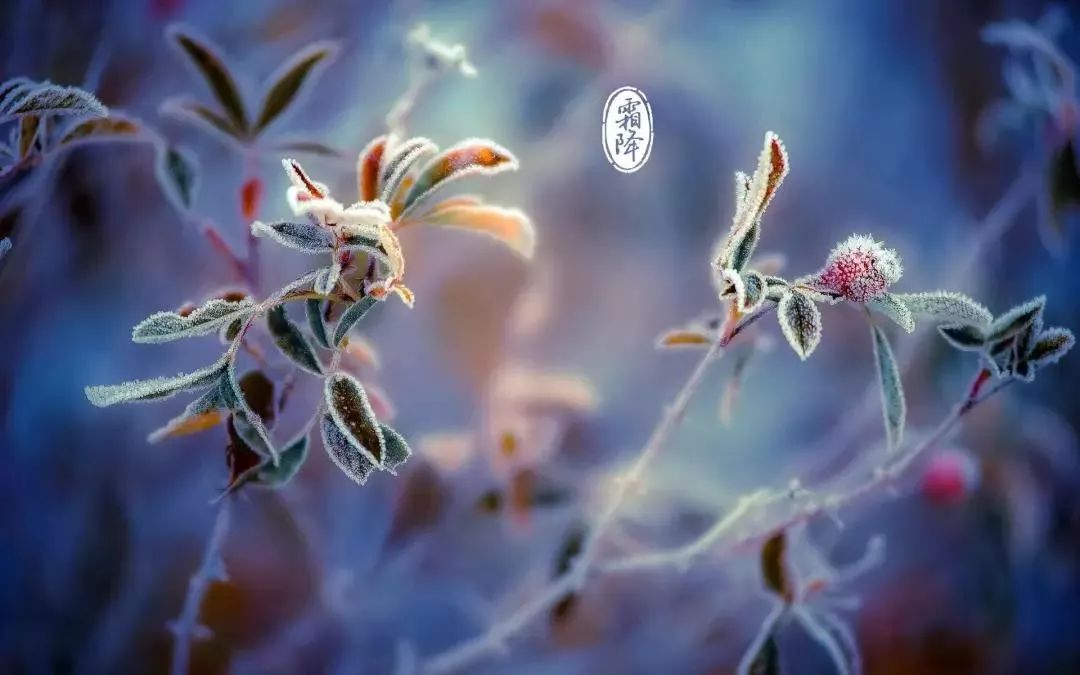 C:\Users\user\Desktop\微信图片_20191129085257.jpg