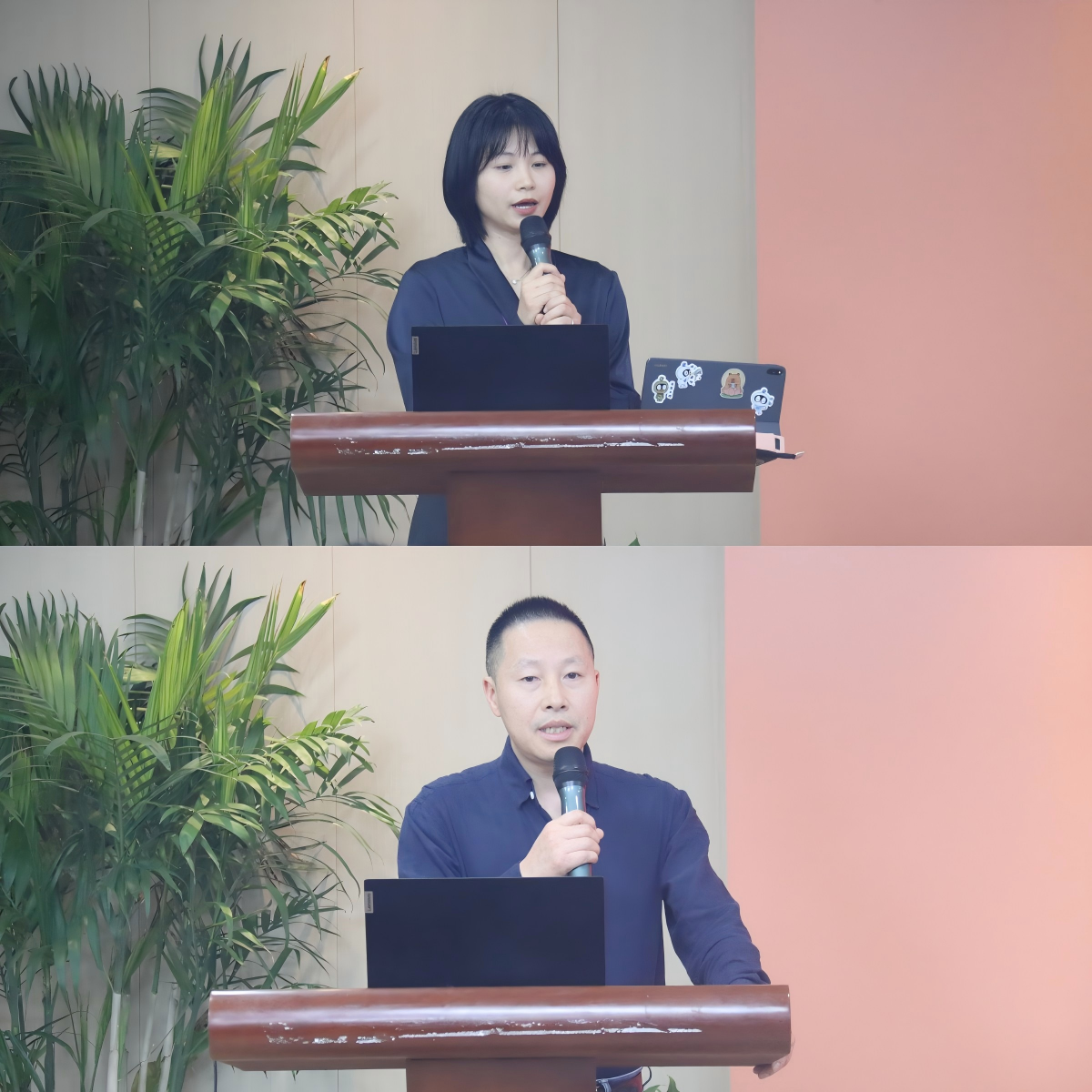 WPS拼图0.png WPS拼图0.png